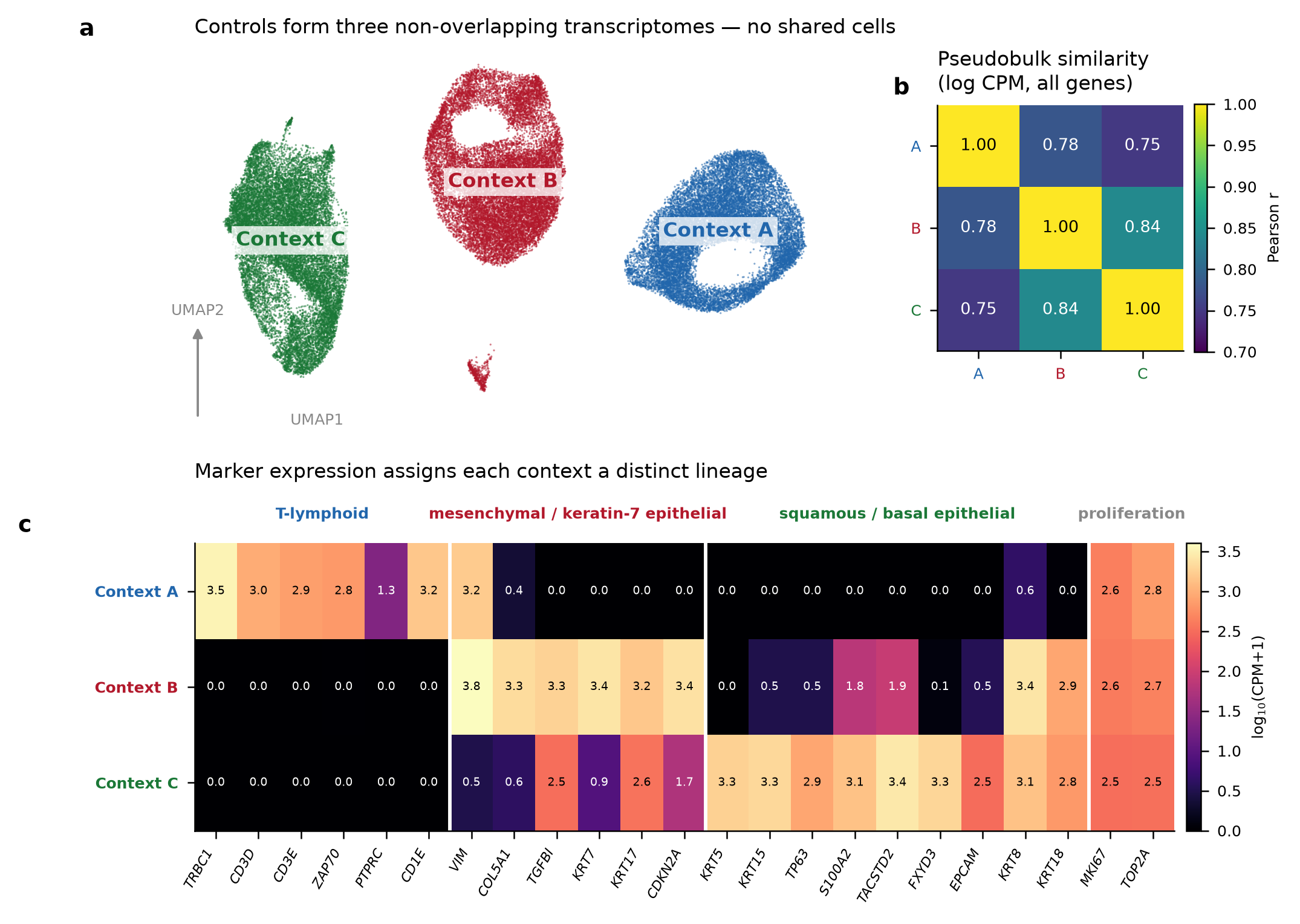 UMAP of 55,200 control cells forming three non-overlapping clusters, a pseudobulk correlation matrix between contexts, and a marker heatmap assigning each context a distinct lineage